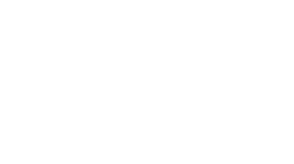 Logo 13