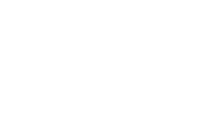 Logo 15